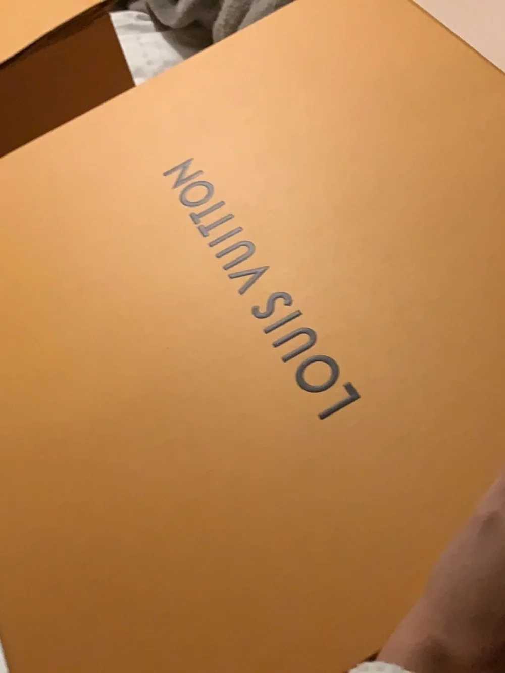 Louis Vuitton signature lv